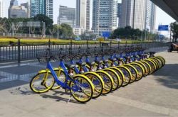 [4分钟教程]福州市公司电话_哔哩哔哩